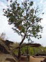 Myanmar 274